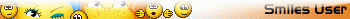 ������� (userbar)
